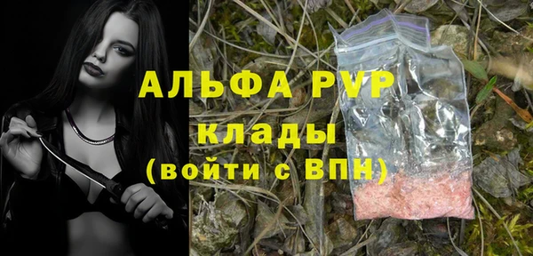 ГАЛЛЮЦИНОГЕННЫЕ ГРИБЫ Михайловск