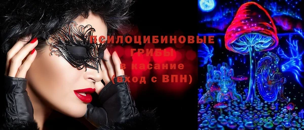 соль курить ск Медвежьегорск