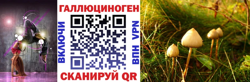 купить закладку  Губкинский  Псилоцибиновые грибы ЛСД 