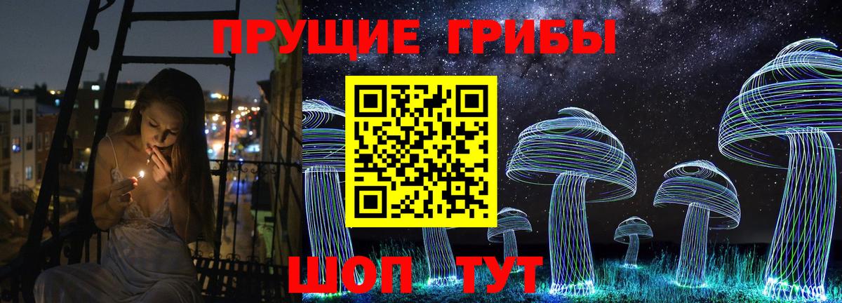 Галлюциногенные грибы Psilocybine cubensis Губкинский