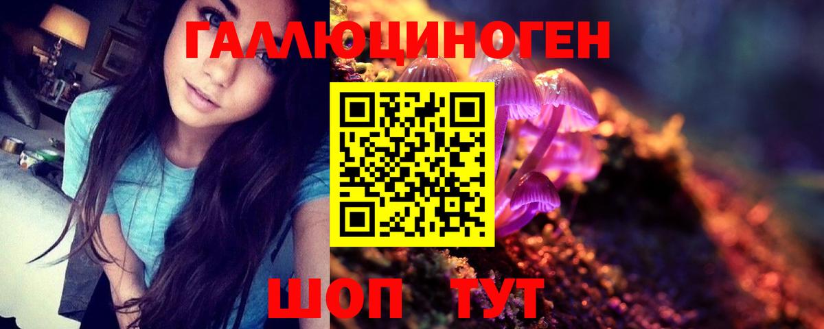 Псилоцибиновые грибы GOLDEN TEACHER  Галлюциногенные грибы MAGIC MUSHROOMS  Губкинский 