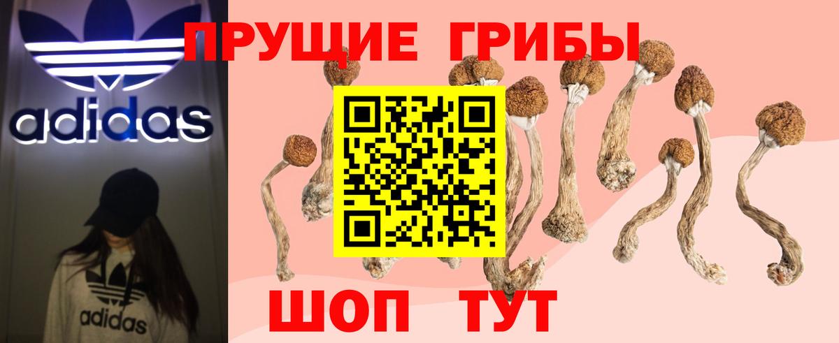 Губкинский  Галлюциногенные грибы GOLDEN TEACHER  Галлюциногенные грибы прущие грибы  где продают наркотики  Вход с VPN 